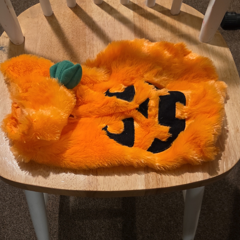 Party Dog Orange Pumpkin Small Pet Costume